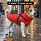 🐶3 in 1  Waterproof Warm Dog Jacket With Built-in Harness