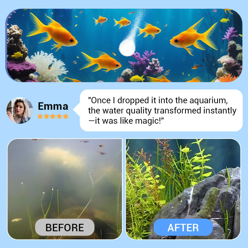 💥 Christmas BIG SALE !!♻️💧Powerful Aquarium Water Purification Tablet- Limited Time Promotion 50% OFF 🔥