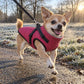 🐶3 in 1  Waterproof Warm Dog Jacket With Built-in Harness