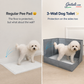 3-Wall Anti-Splash Dog Toilet – Protects Floors & Walls, Foldable, Space-Saving ✨