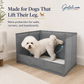 3-Wall Anti-Splash Dog Toilet – Protects Floors & Walls, Foldable, Space-Saving ✨