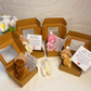 🎁Handmade Mini Plush Teddy Bear in Box🧸