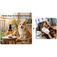 Natural Dog & Cat Ear Drop for Itching & Wax Build-Up