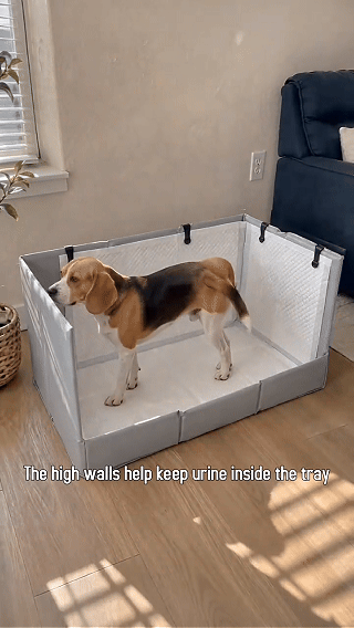 3-Wall Anti-Splash Dog Toilet – Protects Floors & Walls, Foldable, Space-Saving ✨
