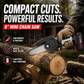 Cordless Mini Chainsaw with 2 Batteries