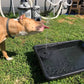 💧50% OFF NOW! ☀️ Solar Fountain Bird Bath Pump – 1.4W Solar Panel, 4 Nozzles & Submersible for Pond, Garden & Pool 🐦