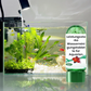 💥 Christmas BIG SALE !!♻️💧Powerful Aquarium Water Purification Tablet- Limited Time Promotion 53% OFF 🔥
