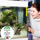 💥 Christmas BIG SALE !!♻️💧Powerful Aquarium Water Purification Tablet- Limited Time Promotion 53% OFF 🔥