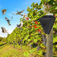 Waterproof Solar Outdoor Bird Repeller