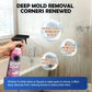 ⏳🔥LIMITED-TIME 50% OFF! ⏰Bathroom Cleaner – Dissolves Limescale & Mold, Inhibits Regrowth. Sparkling Bathroom – Grab Yours! ✅