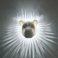 American Eagle Wall Lamp