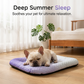 🐶🐱Pet Cooling Pad Mat for Dogs and Cats - Ice Silk Summer Cool Bed Blanket in Gradient Colours, Breathable Soft Sleeping Cushion for Indoor Floors Sofas and Car Travel Washable Multiple Sizes Available