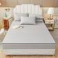 Waterproof 6-Sided Mattress Encasement