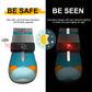 Breathable Mesh Dog Shoes with Luminous Design