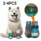 Breathable Mesh Dog Shoes with Luminous Design