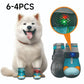 Breathable Mesh Dog Shoes with Luminous Design
