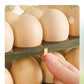 Luxury Folding Egg Box
