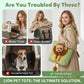Head-Out Pet Carrier Bag for Cats & Small Dogs