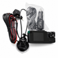3 Channel 1080P HD Car Dashboard Camera
