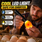 Rechargeable LED Egg Candler for Chicken and Quail Eggs
